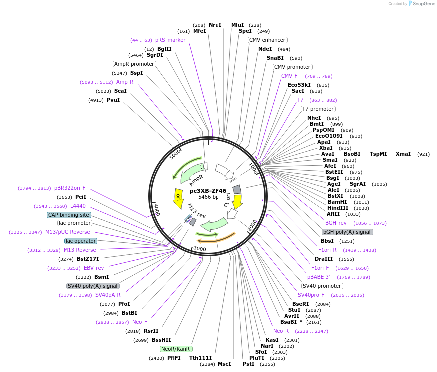 7494_map