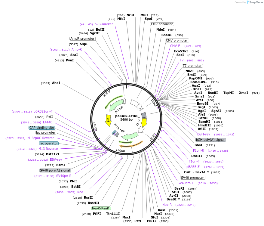 7496_map