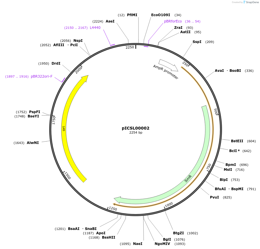 50347-plasmid-map-sequence-id-75103