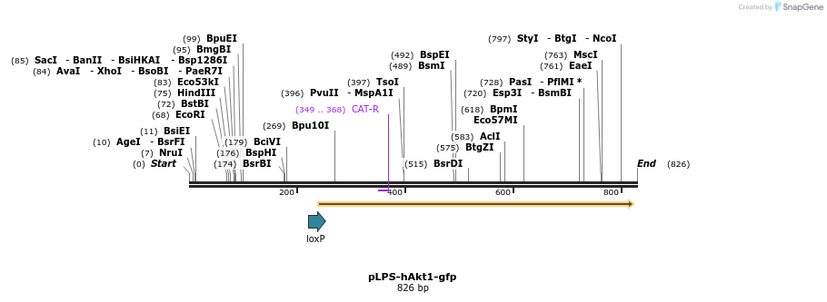 75104_map