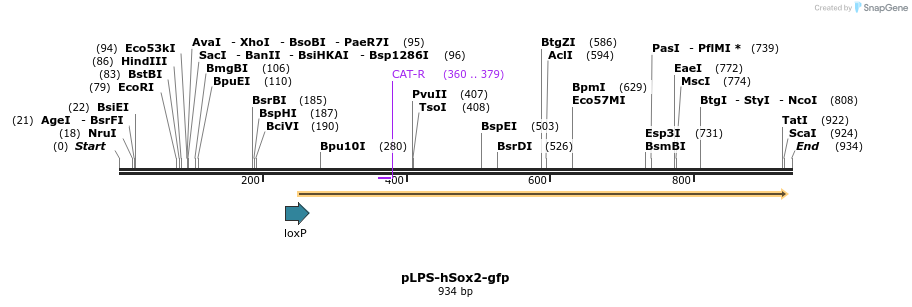 75105_map