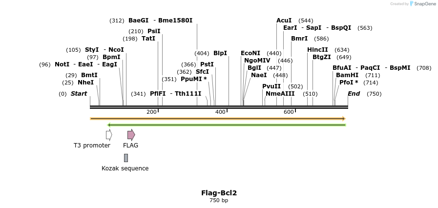 75106_map