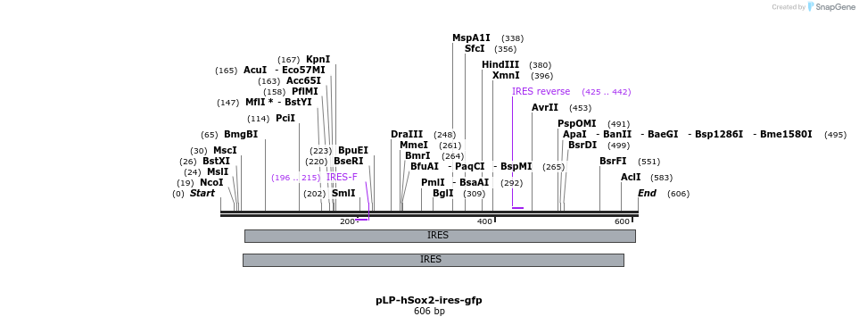 75108_map