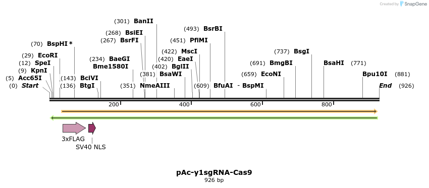 75110_map