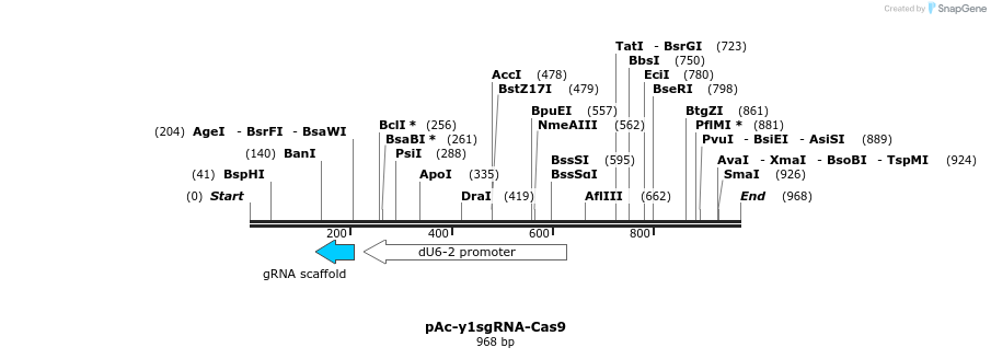 75113_map