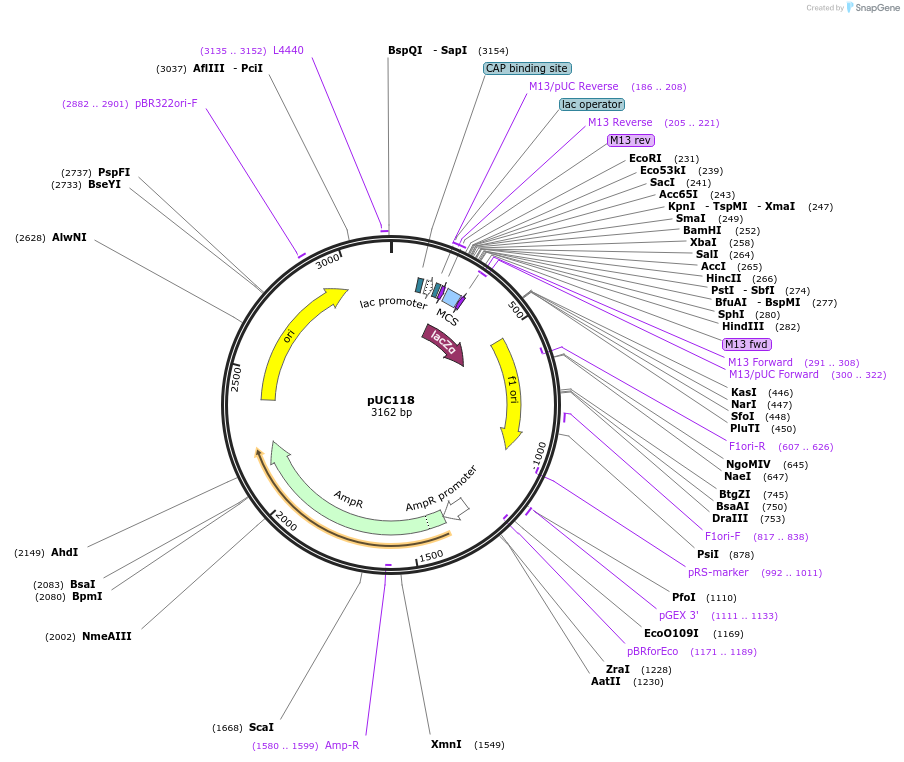 75120_map