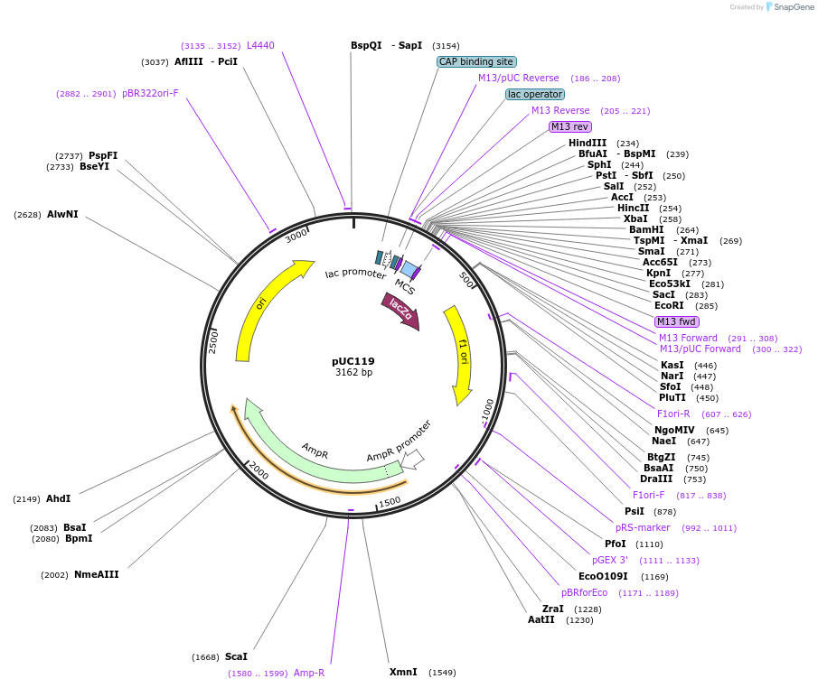 75122_map