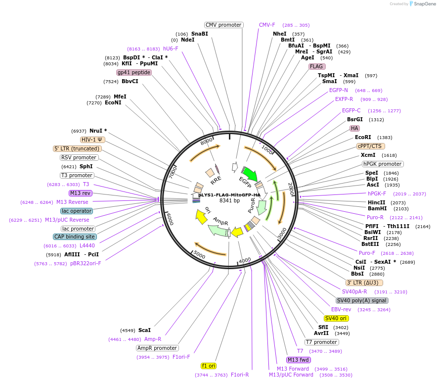 75128_map