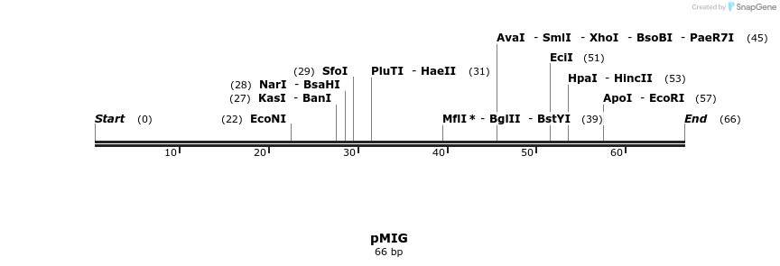 75131_map