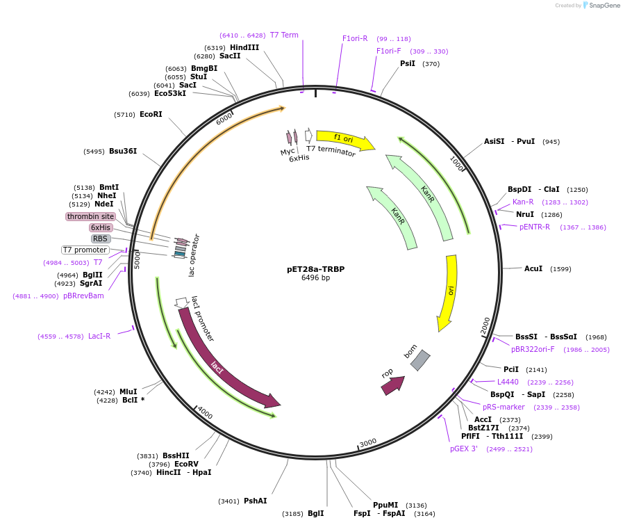 75132_map