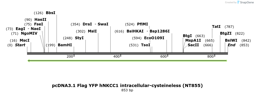 75133_map