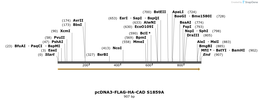 75142_map