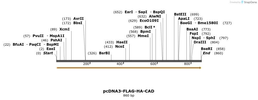 75145_map