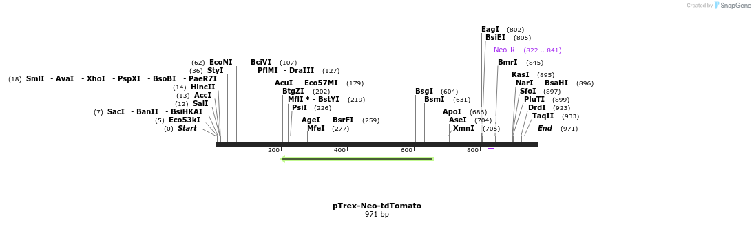 75148_map