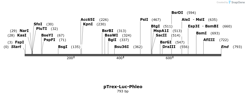 75153_map