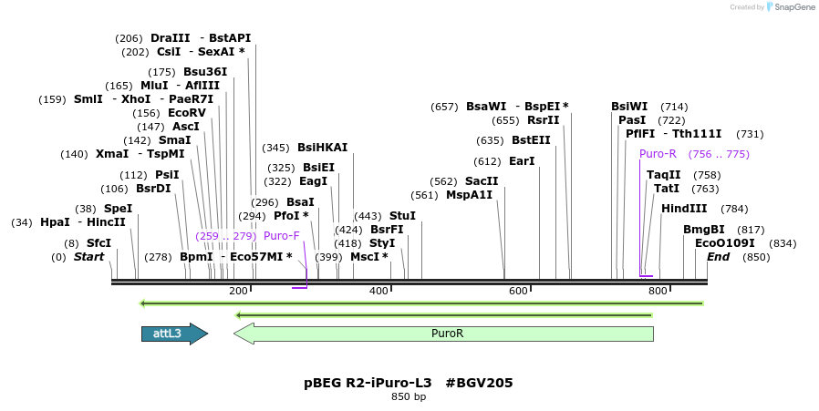 75157_map