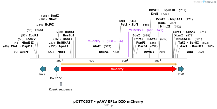75158_map