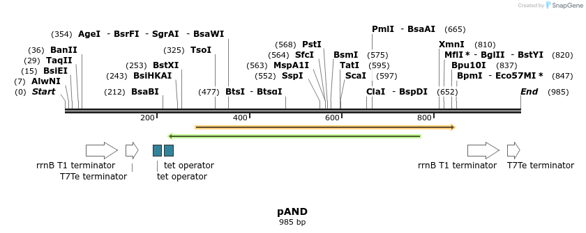 75161_map
