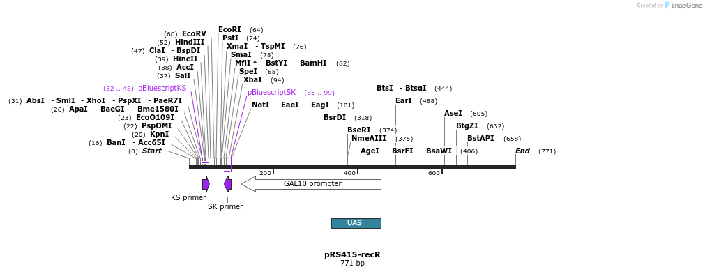 75164_map