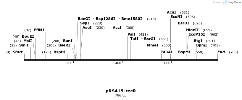 75166_map