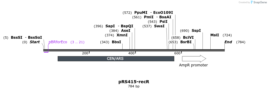 75167_map
