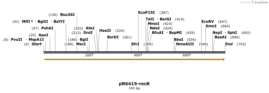 75170_map