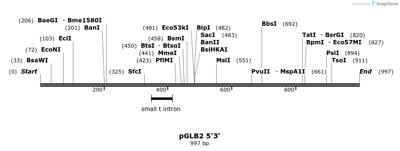 75171_map