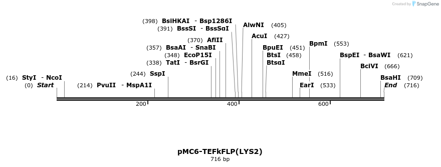 75173_map