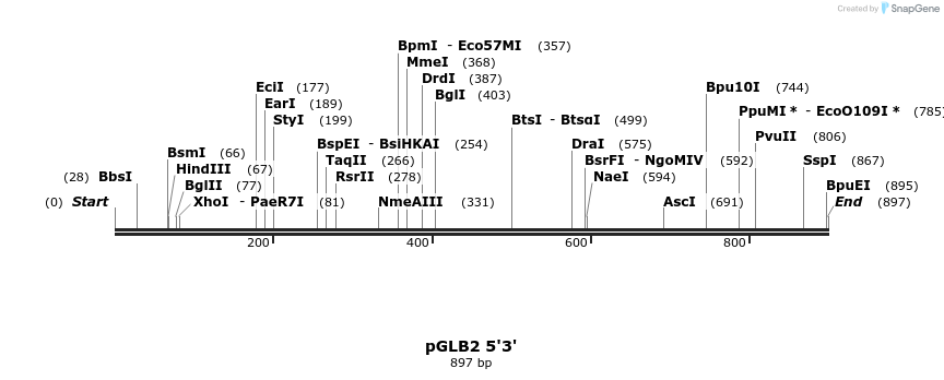 75175_map