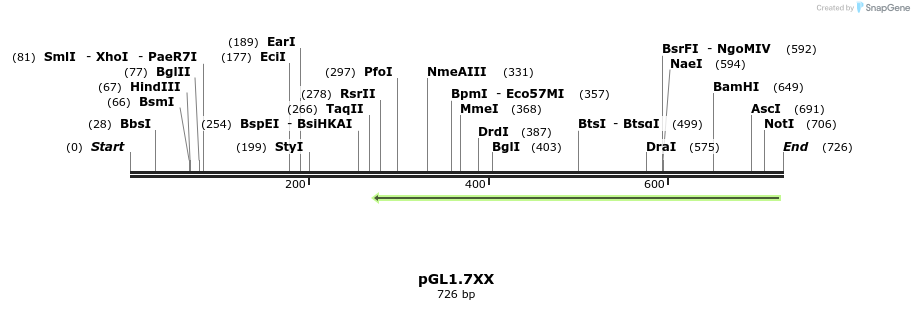 75177_map