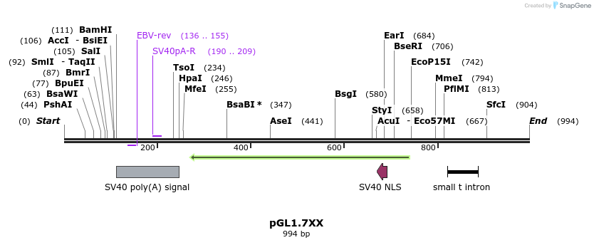 75179_map