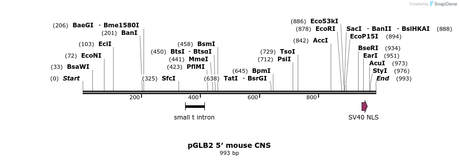75181_map