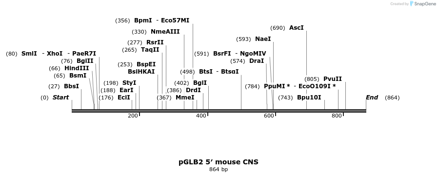 75182_map