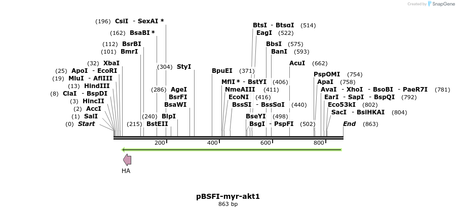 75183_map