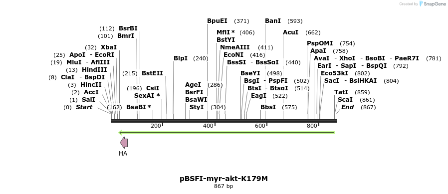 75184_map