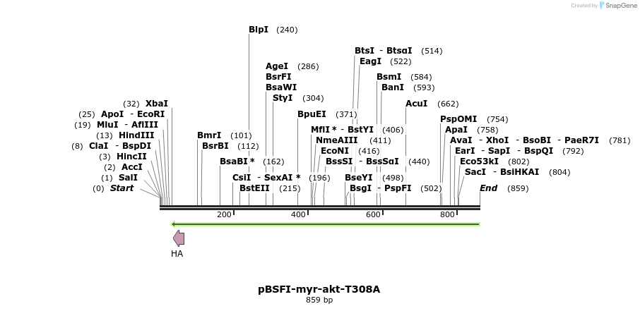 75185_map