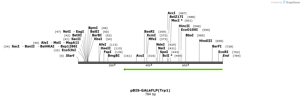 75186_map