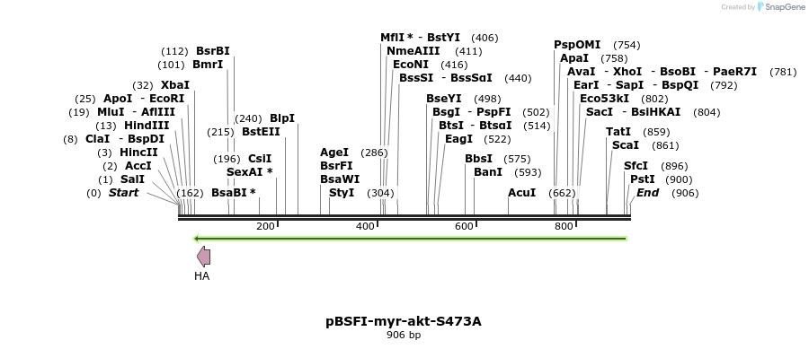 75187_map