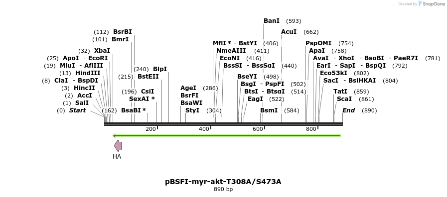 75188_map