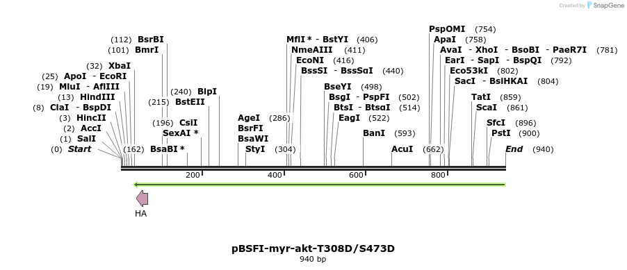 75189_map