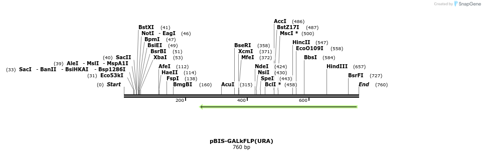 75190_map