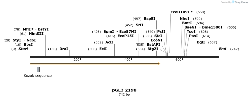 75191_map