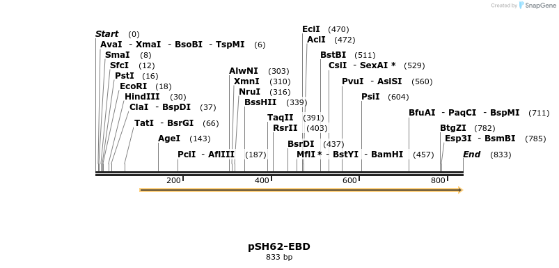 75192_map