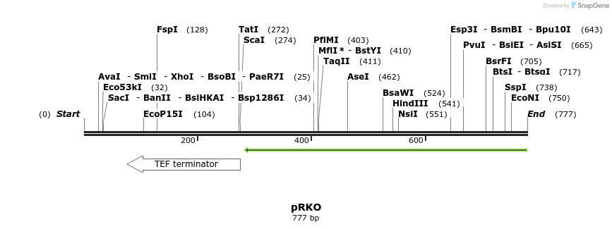 75193_map