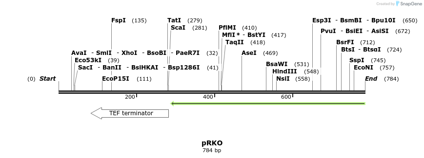 75194_map
