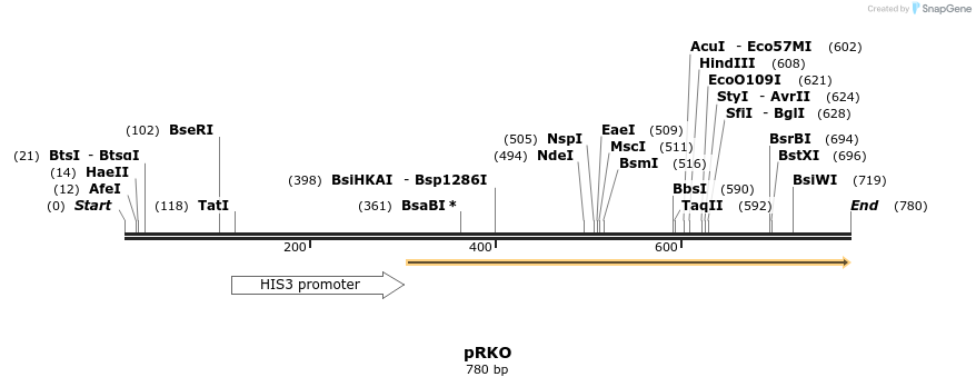 75195_map