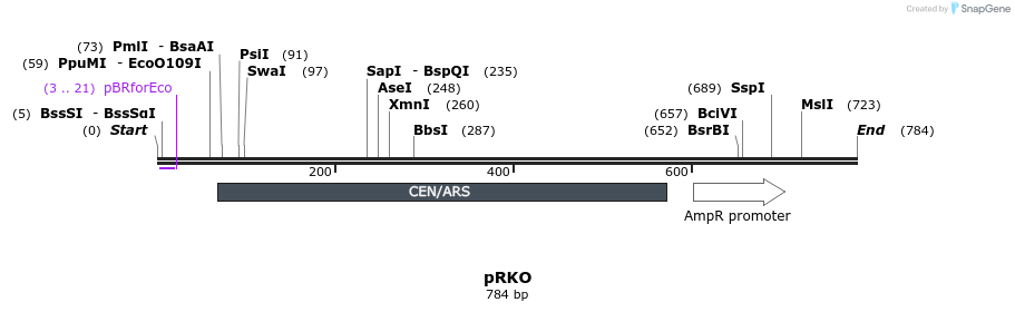 75196_map