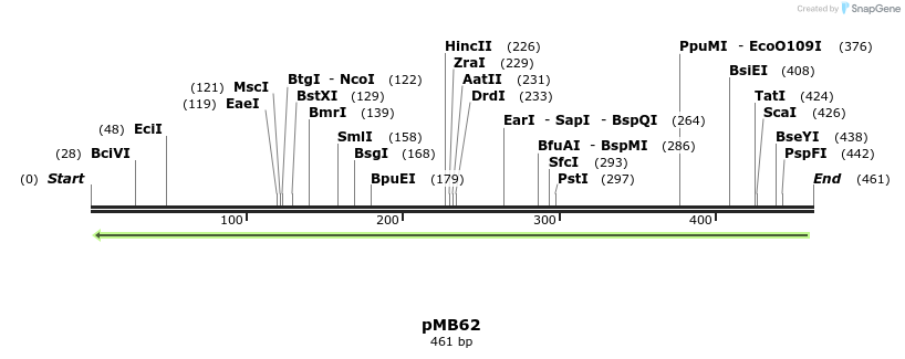 75198_map