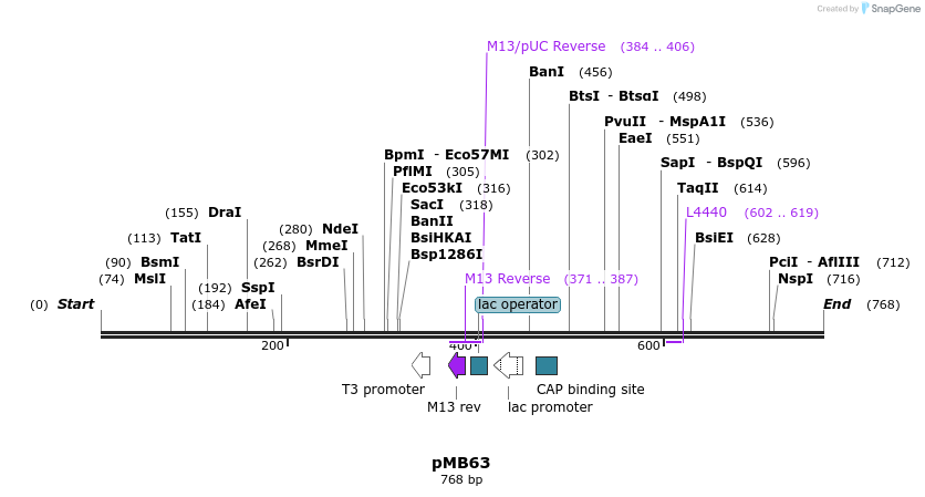 75199_map