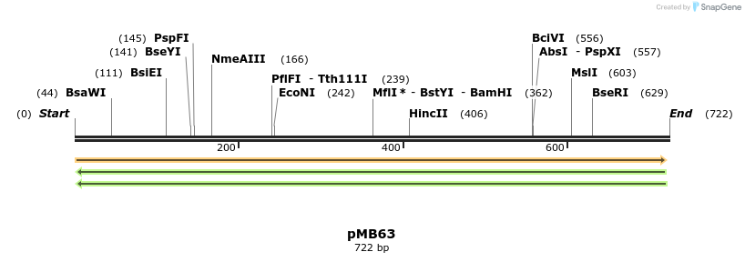 75201_map